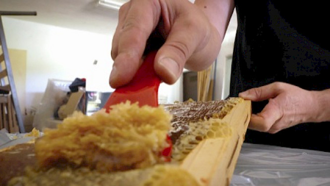 (c) Alpenway Media Production GmbH