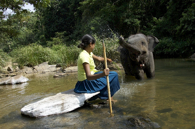 (c) 2009 FRUITMARKET