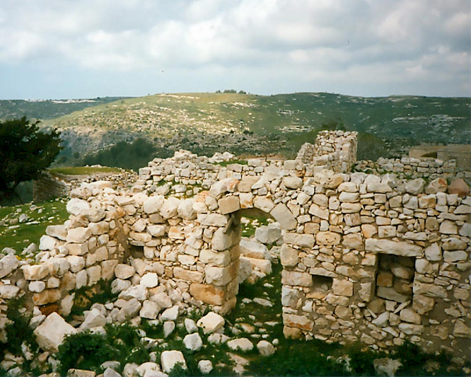 World TV Krieg & Nolte GbR