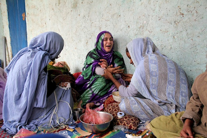 (c) 2013 Irina Linke