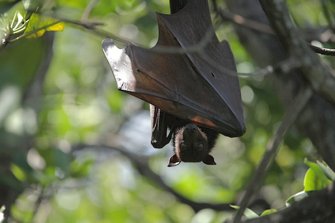 (c) 2014 Leonardo Film GmbH
