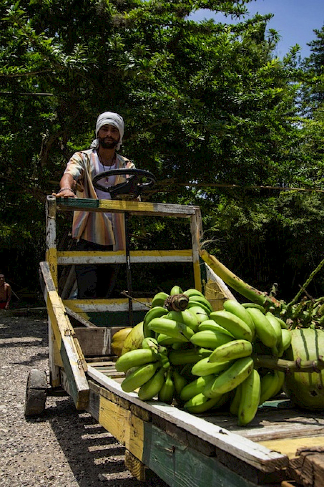 (c) 2013 Marco Polo Film AG