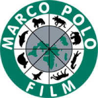 MARCO POLO FILM AG