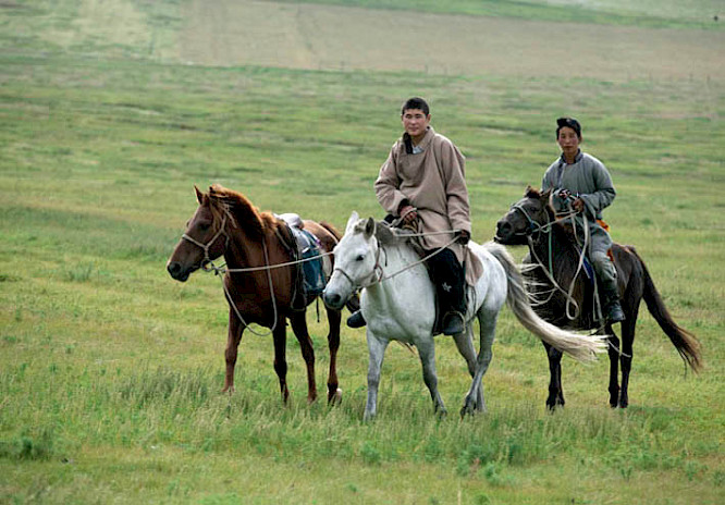 2014 Seitz GmbH Filmproduktion 