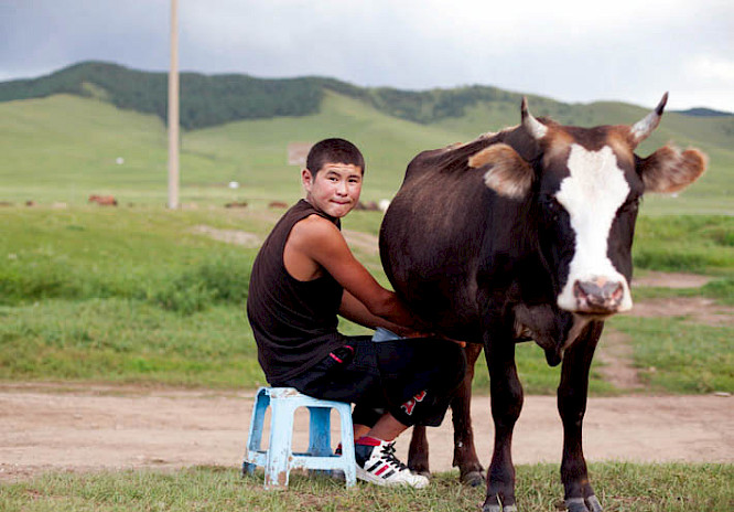 2014 Seitz GmbH Filmproduktion