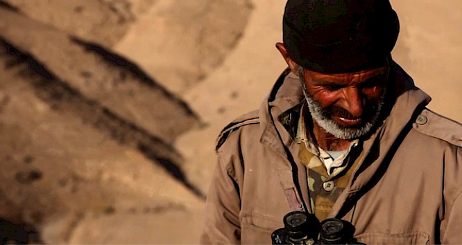 (c) 2013 Daniel Asadi Faezi