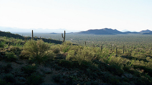 Pimera Alta - Sonora Desert