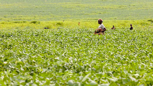 10 BILLION &ndash; WHAT WILL WE EAT TOMORROW?