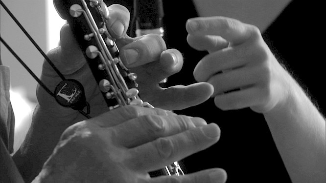 DONKEY DOG CAT AND COCK... AND OTHER MUSICANS