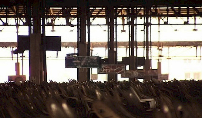 Urban Prayers. Reinventing Religion in the City