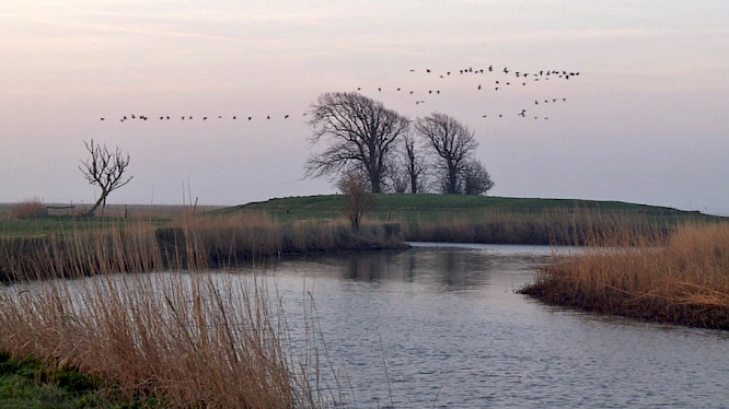 (c) 2012 Rainer Komers