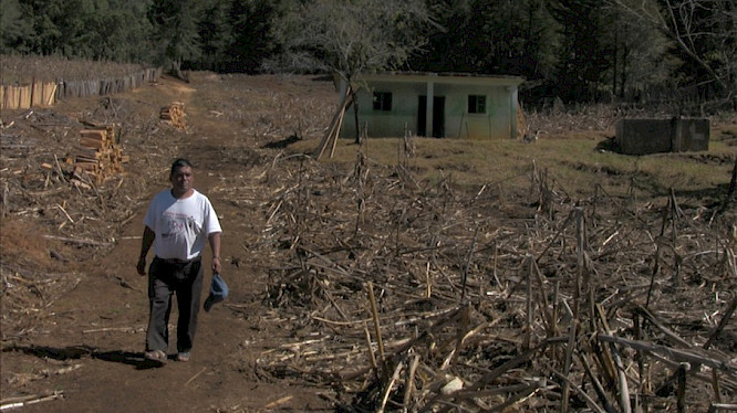 (c) 2013 Oliver Stiller