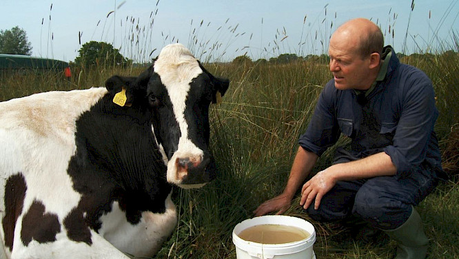 THE MOO MAN