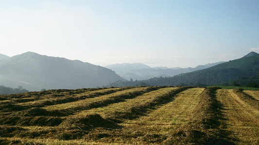 Pyren&auml;en&uuml;berschreitung