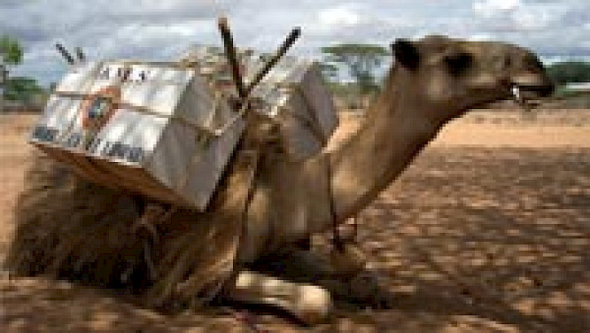 (c) 2009 Marco Polo Film