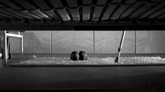 Ein Tag und Eine Ewigkeit