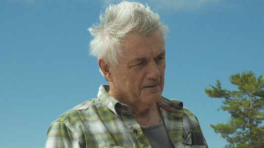 THE WORLD ACCORDING TO JOHN IRVING