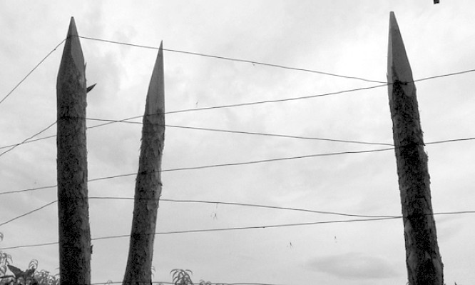 (c) Brigitte Krause 2013