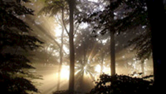 (c) 2010 Marco Polo Film AG