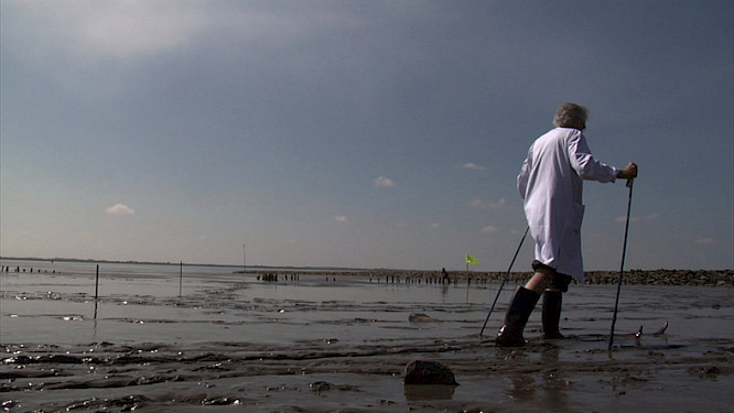 (c) 2009 Frank D. M&uuml;ller