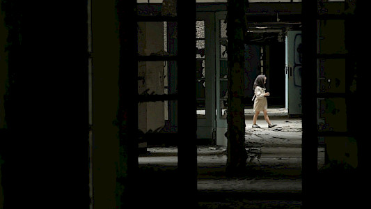 PATRIOTS AND POETS - Frolowa and Tsvetaeva