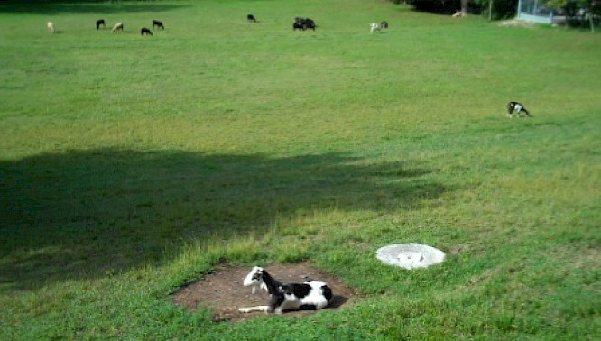 (c) 2011 Pantera Film GmbH