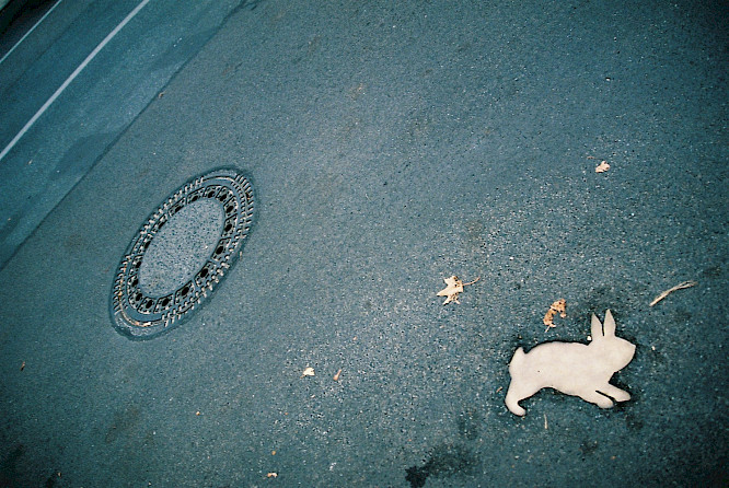 Rabbit &agrave; la Berlin
