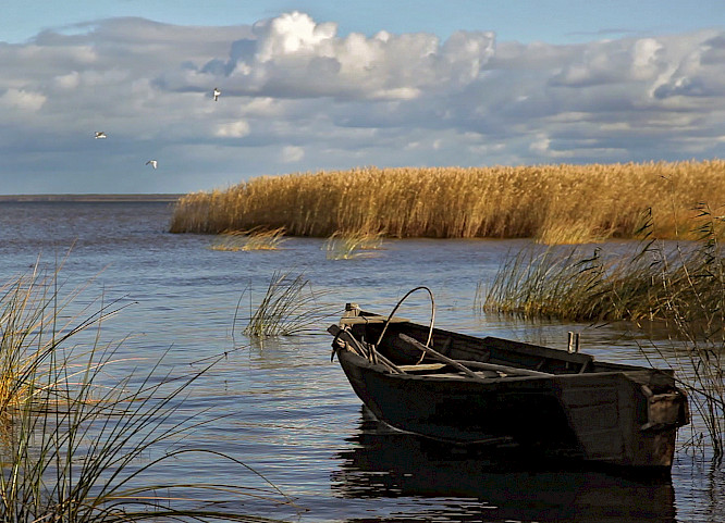 (c) 2011 Bettina Herzner