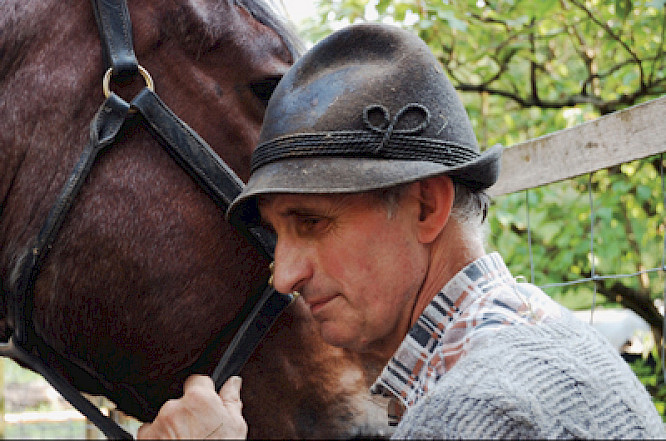 (c) 2010 Roswitha Ziegler