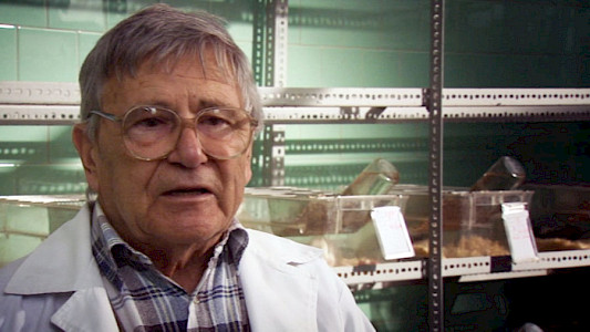 &Aacute;rp&aacute;d Pusztai - Whistleblower