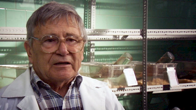 (c) 2013 DENKmal-Film Verhaag GmbH