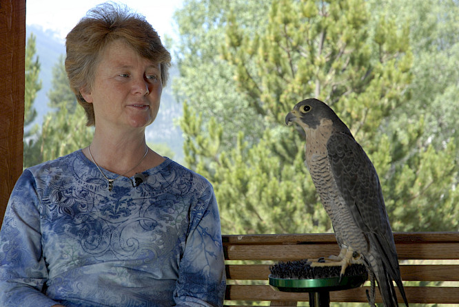 (c) Gebr&uuml;der Beetz Filmproduktion