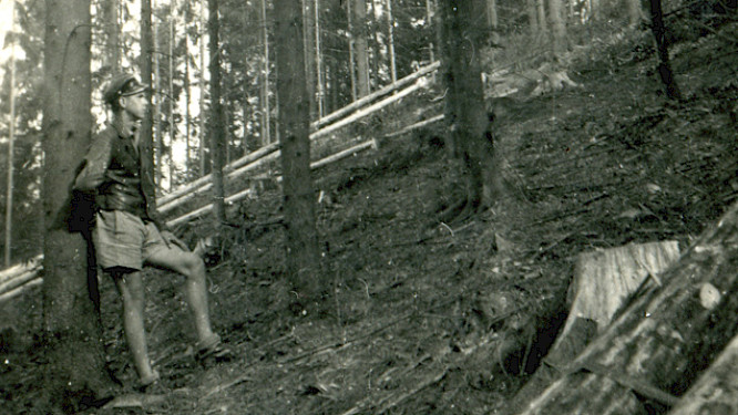 MY FATHER THE FOREST
