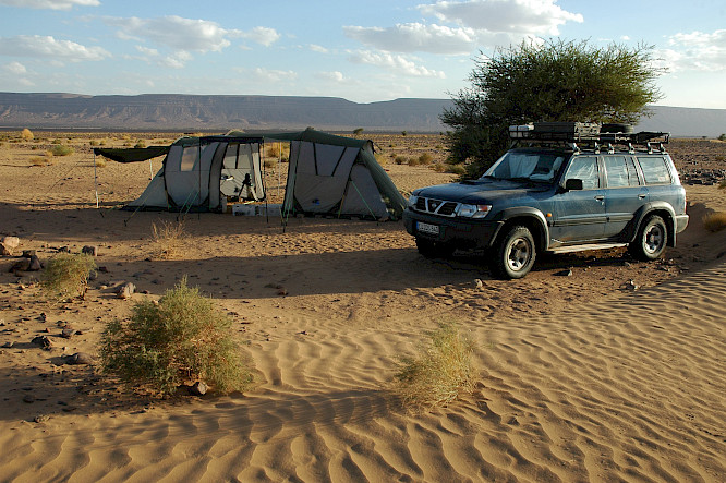 ALONE THE DESERT