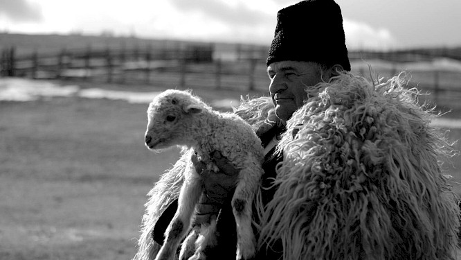 2010 GMfilms | ma.ja.de.