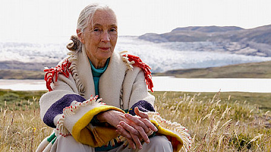 Dr.Jane Goodwell