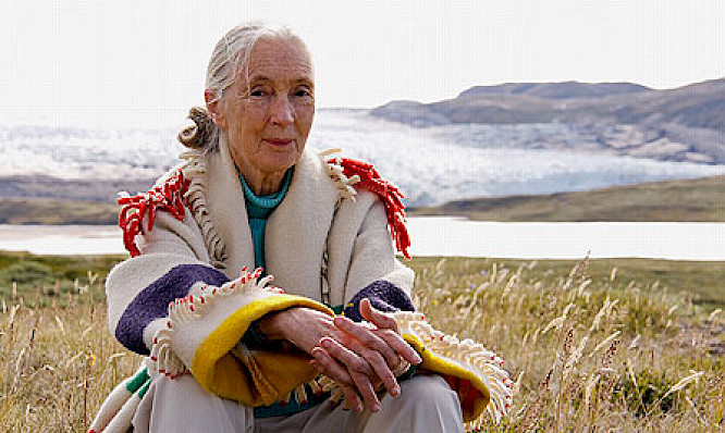 JANE'S JOURNEY