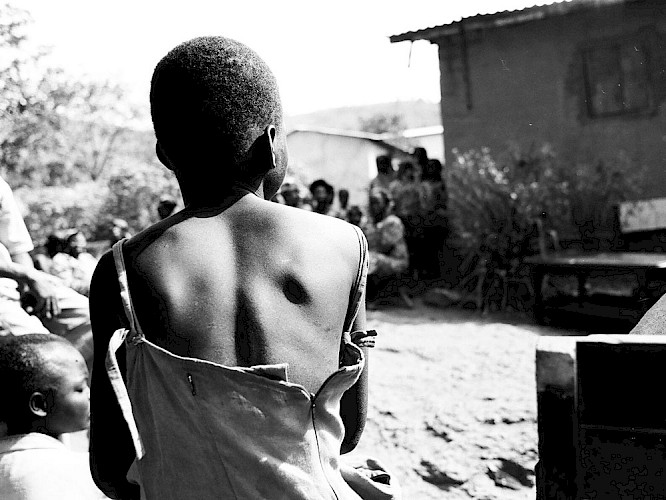 2011  Heidi Specogna