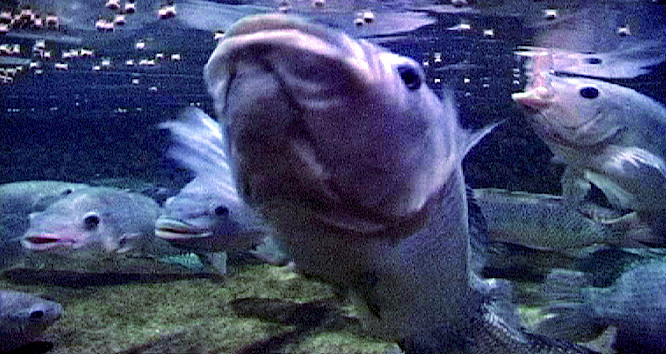 (c) 2006 DENKmal-Film Verhaag