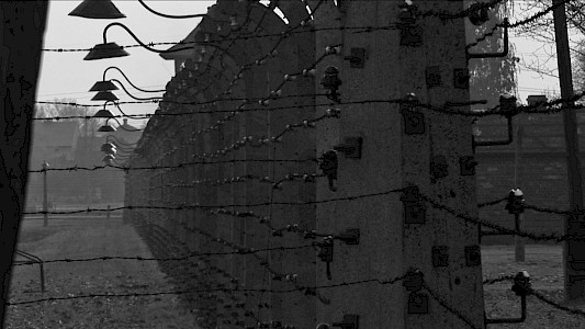 Im Angesicht der Dunkelheit - Auschwitz I