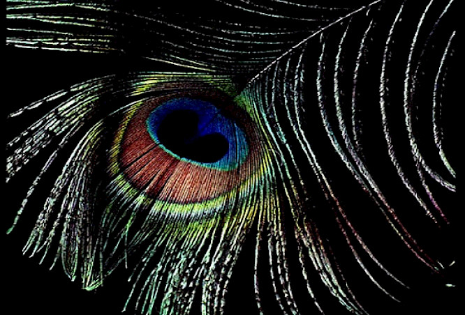 THE CREATIVE UNIVERSE &ndash; NATURAL SCIENCE AND SPIRITUALITY IN DIALOGUE