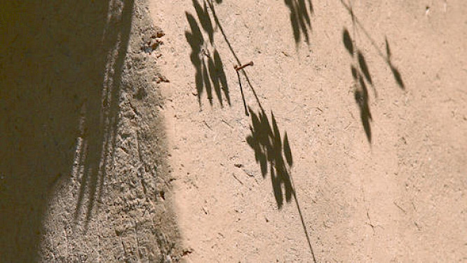 Didi Contractor - Marrying the Earth to the Building