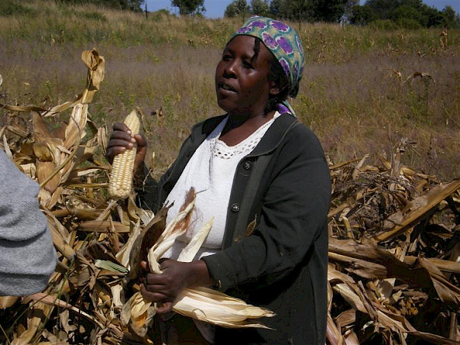 (c) Helmut Schulzeck 2009