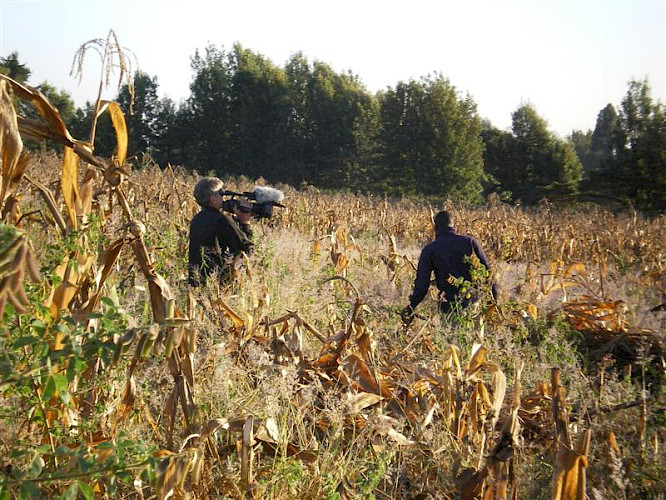 (c) Helmut Schulzeck 2009