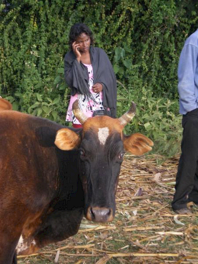 (c) Helmut Schulzeck 2009