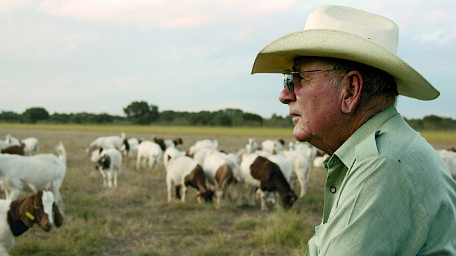 PRETZELS, POLKA AND THE PURSUIT OF HAPPINESS