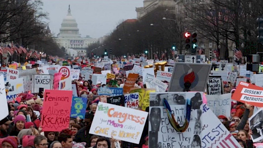 FREEDOM FOR THE WOLF 