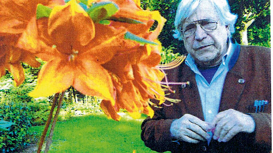 BAZON &ndash; ERNSTE SCHERZE