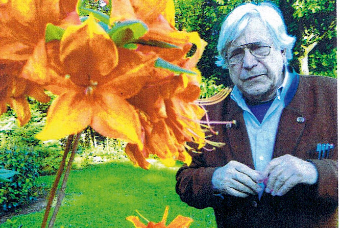 2017 Peter Sempel blacksunflower