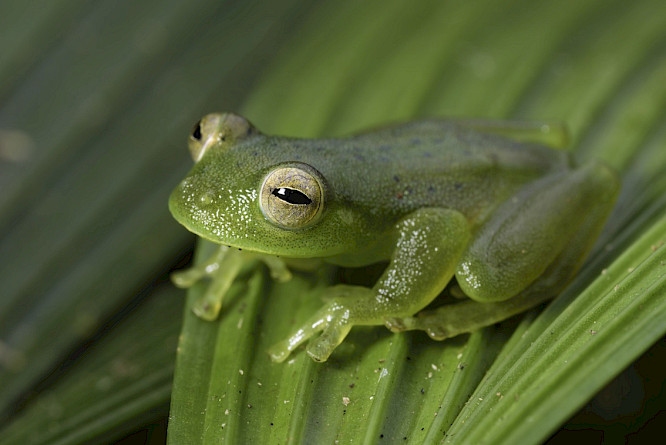 2017 gebr&uuml;der beetz filmproduktion